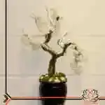 Table Flower