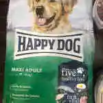 Happy Dog