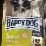 Happy Dog