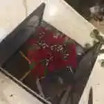 Flower Box