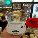 Snow Ball