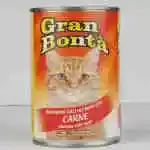 Gran Ponta