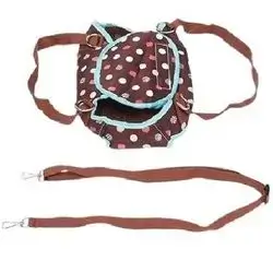 Ketsicart Leash & Harness S