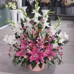 Box Flower