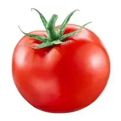 Tomatoes Dolma