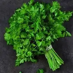 Fresh Krafs Bunch