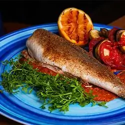 Sea Bass Fish