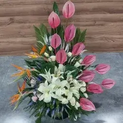 Box Flower