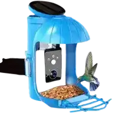 Smart Bird Feeder With Camera