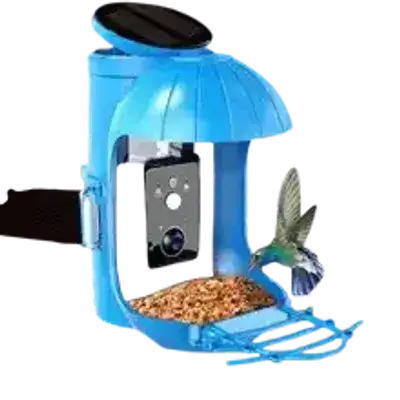 Smart Bird Feeder With Camera