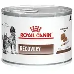 Royal Canin Recovery 195g