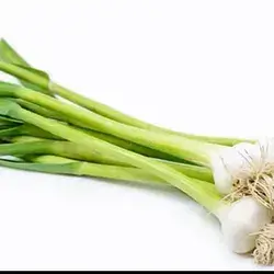 Onion