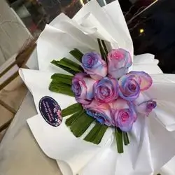 Colorful Rose