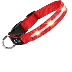 Masbrill Pet LED Collar Small