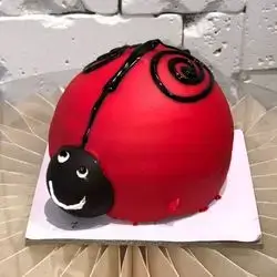 Mini Ladybug Cake For 1 Person