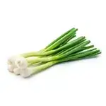 Green Onion