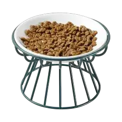 Ceramic Bowl