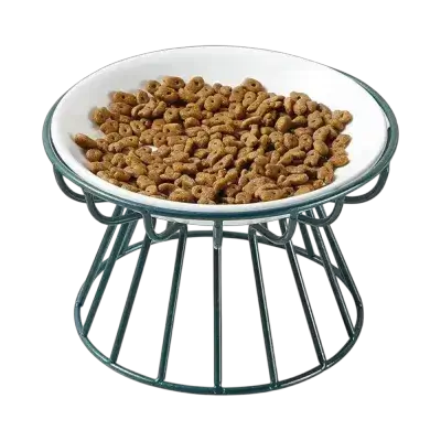 Ceramic Bowl