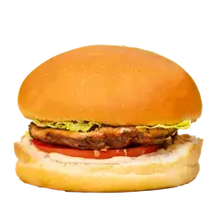 Classic Chicken Burger