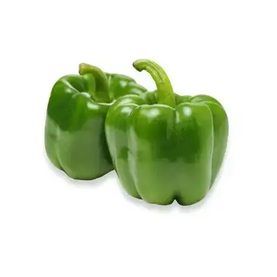 Dolma Pepper