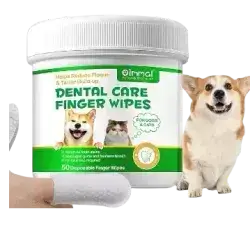 Oimmal Teeth  Cleansing Wipes 50pcs