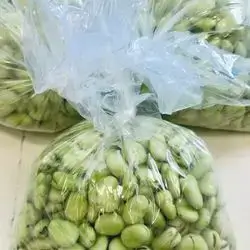 Seed Beans