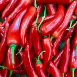Chilli Red Pepper