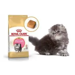 Royal Canin Persian Kitten 400g