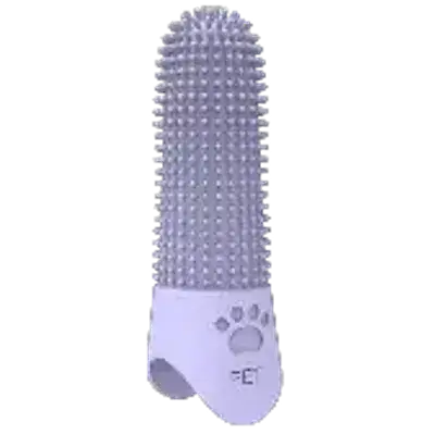 Tooth Brush