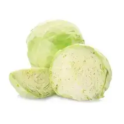 White Cabbage