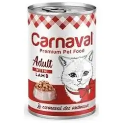 Carnaval Adult