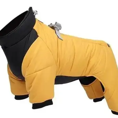 Dog jacket