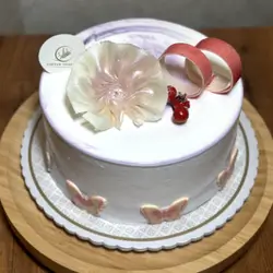 Vanilla Cake Size 2