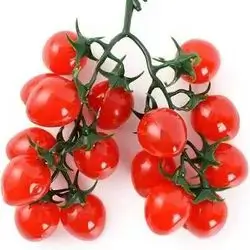 Cherry Tomatoes - Large