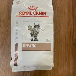 Hepatic s/o