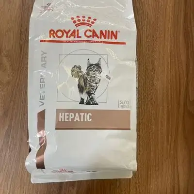 Hepatic s/o