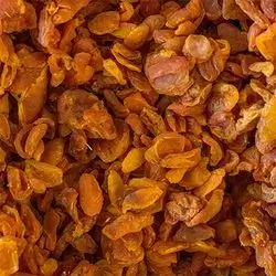 Iranian Apricot