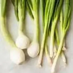 Green Onion
