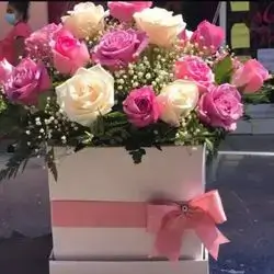 Box 