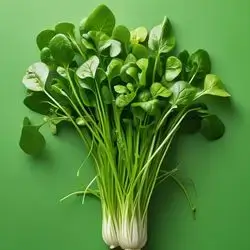Watercress