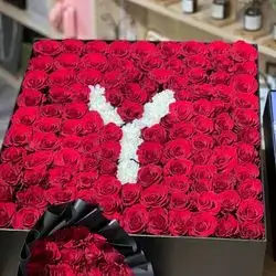 بۆکسی گوڵی سروشتی