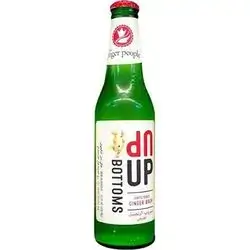 The Ginger People Up Botto Nrb330ml
