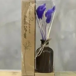 Perfume Gift