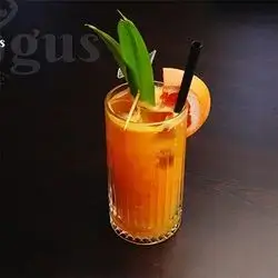 Orange & Grapefruit Juice