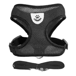 Leash & Harness S