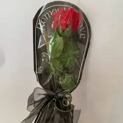 گول