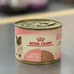 Royal Canin Mother & Baby Cat 195g