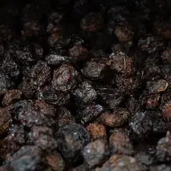 Dried Plum