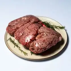 Brain