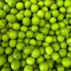 Duhok Greengage